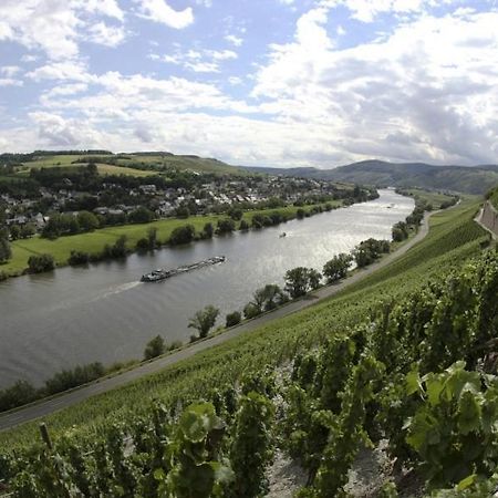 Apartmán Weingut Fehres Brauneberg Exteriér fotografie